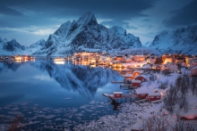 Reine