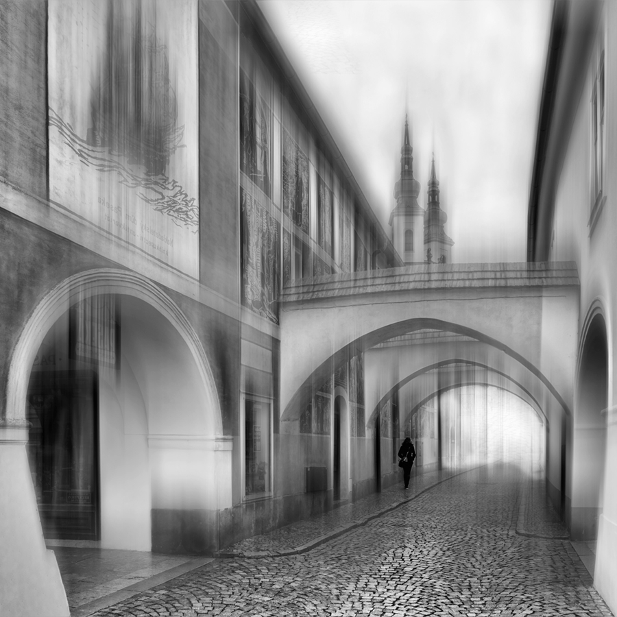 janish - . . Zdjęcie 257056