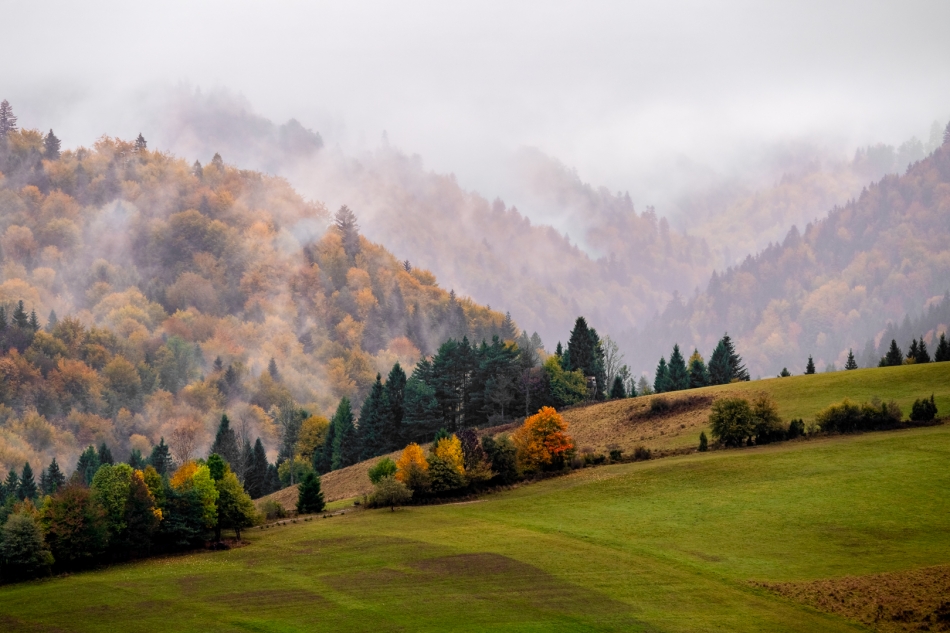 Pieniny. . Zdjęcie 336103