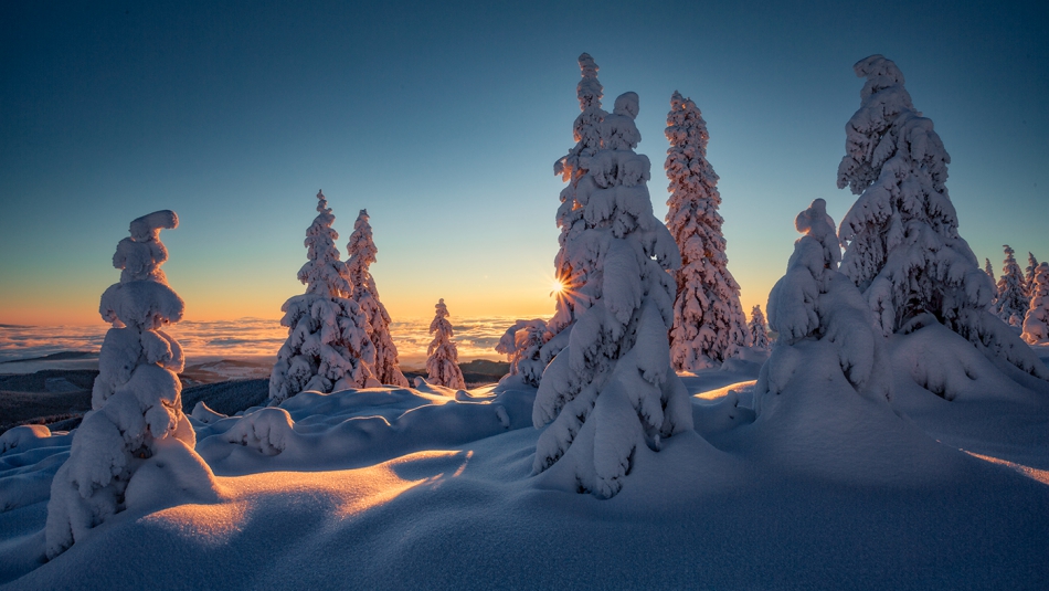 bonnieandclyde - A Winters Tale.... . Zdjęcie 310746
