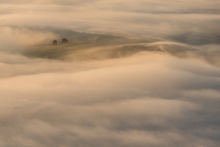 lonely in the sea of ​​fog