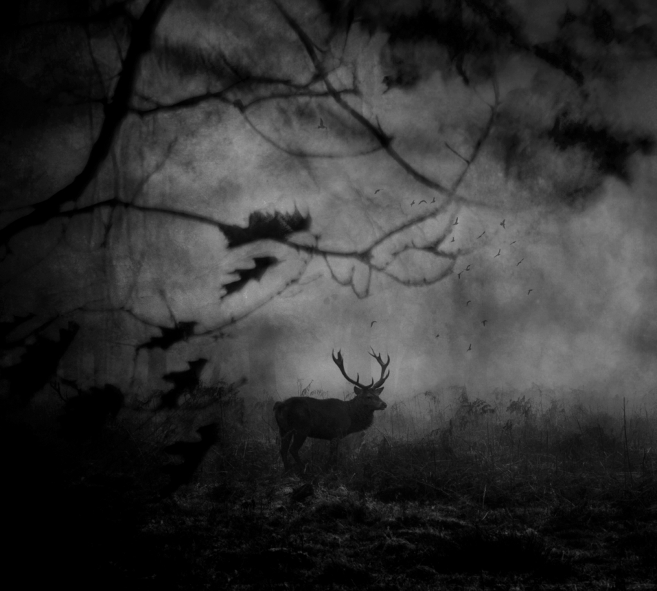 robin74r - Autumn Thoughts.... . Zdjęcie 318734