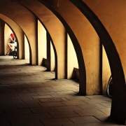 lady WITH red 