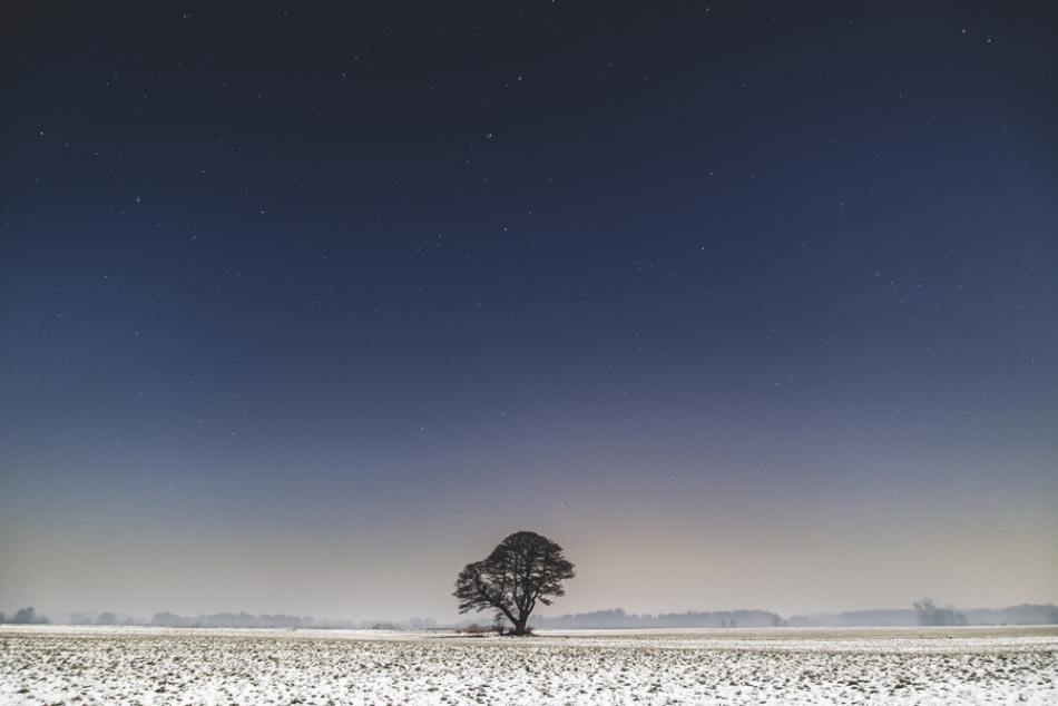 . . Zdjęcie 160219