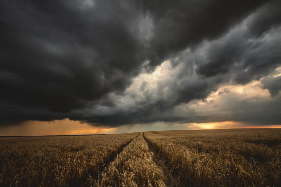 bonnieandclyde - Heavy Clouds No Rain.... . Zdjęcie 316021