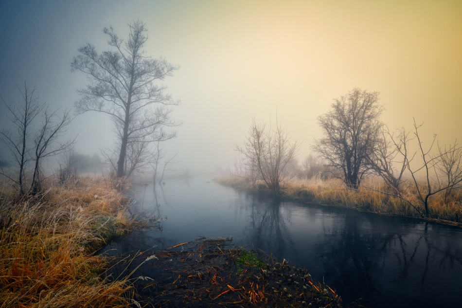 shooter76 - Zdjęcie autorstwa shooter76. . Zdjęcie 301101