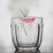 lipstick on the glass