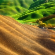 Green land...