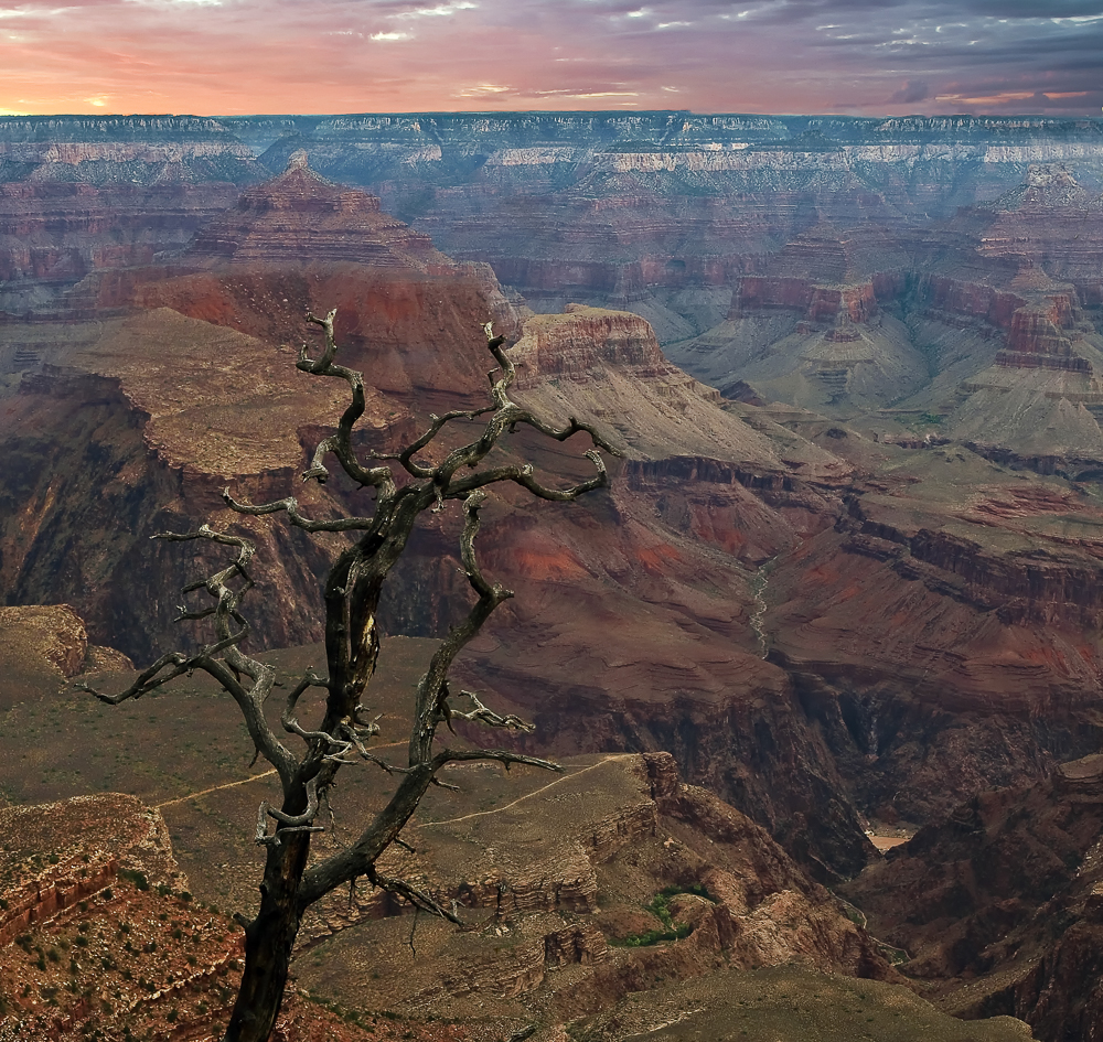 Grand Canyon