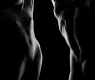Harmonia