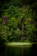 Domek