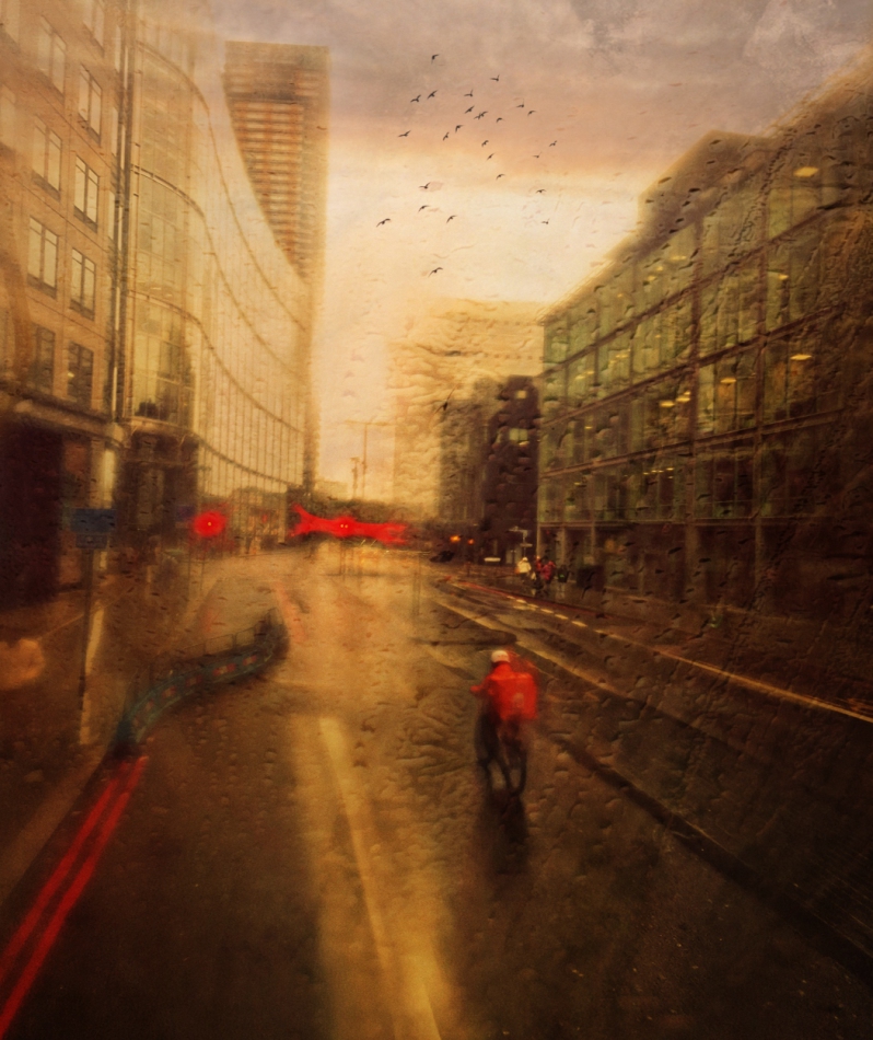 robin74r - Rainy Morning.... . Zdjęcie 313535
