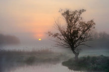 Wstaje dzień