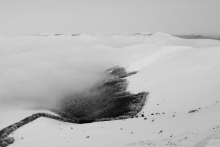 Mountain Cat in the clouds