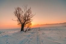 -27 C