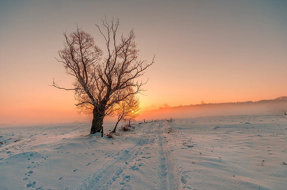 darek_d - -27 C. . Zdjęcie 114833