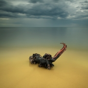 Skorpion plażowy