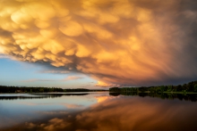 chumry Mammatus