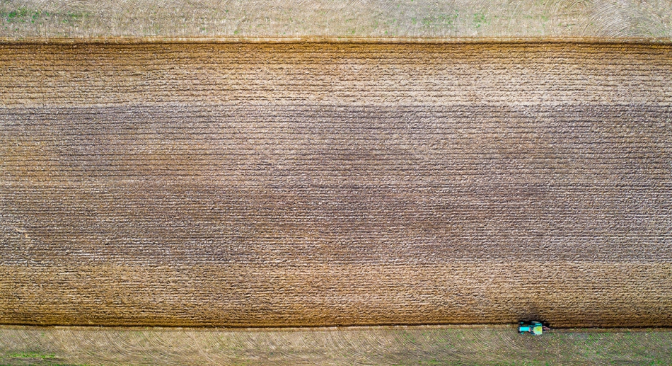 stroop - chodniczek. . Zdjęcie 275621