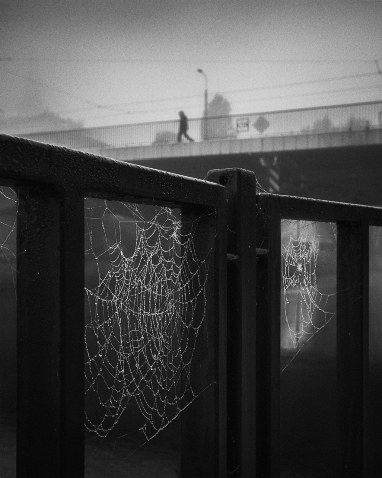 **. . Zdjęcie 336988