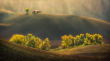 Fields...