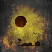 harvesting race