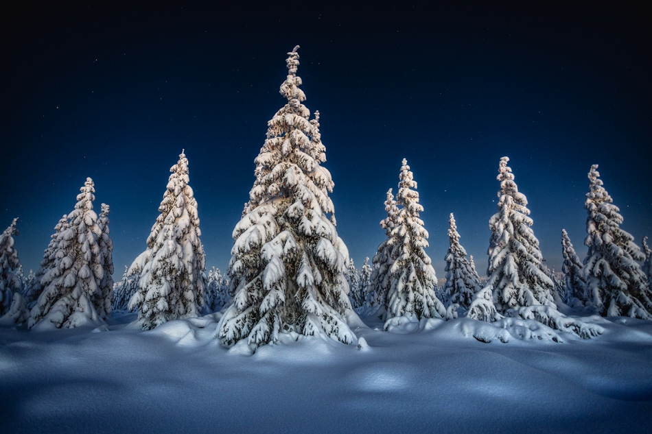 bonnieandclyde - Song For a Winters Night II.... . Zdjęcie 310351