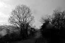 dżdży 