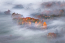 The Autumn Leaves Of Re...