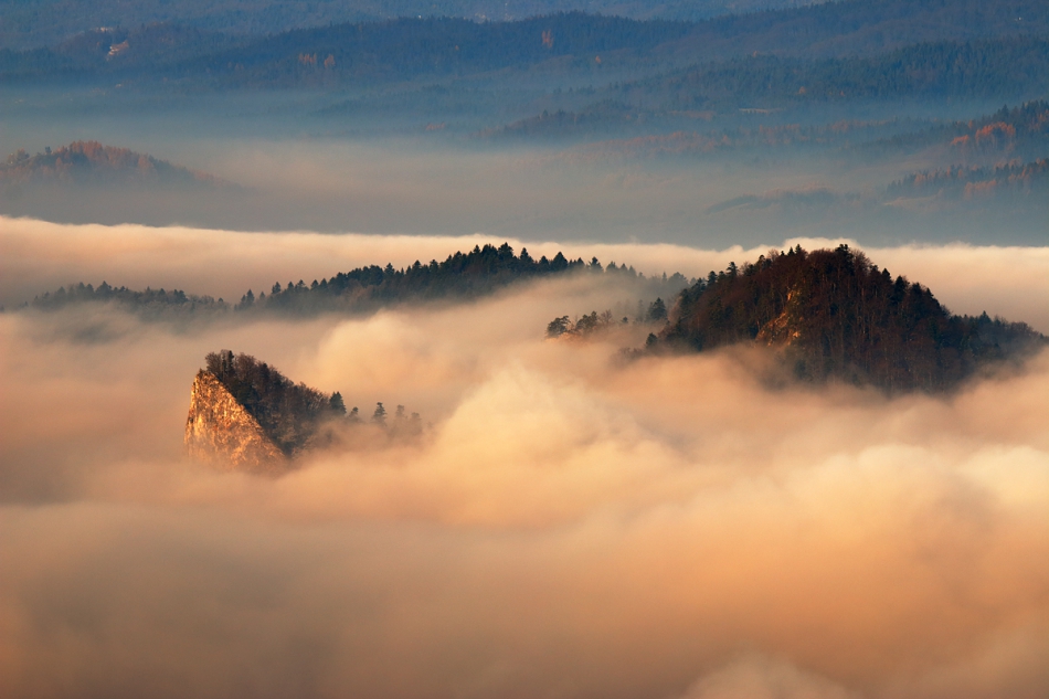 jalis - Spienione Pieniny. PE. Zdjęcie 227122