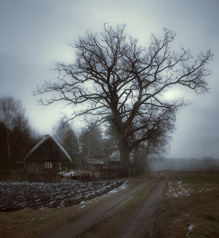 fotobajki - Ojcowizna. . Zdjęcie 97487