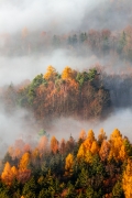 Autumn...
