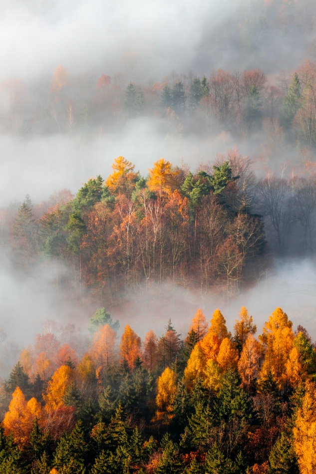 bonnieandclyde - Autumn.... . Zdjęcie 335797
