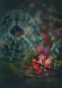 Jesienna melancholia