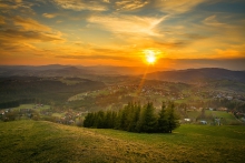 Moja 