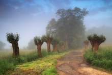 Welcome in the jungle