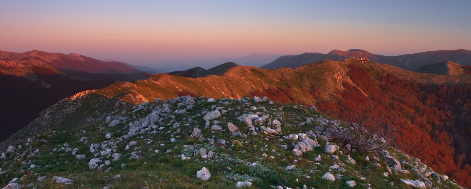 /\. . Zdjęcie 336354