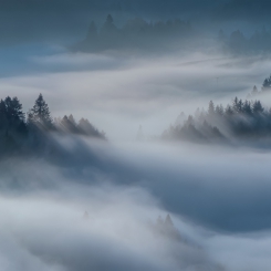 Pieniny
