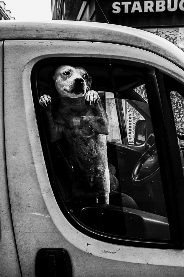 brownsville - . . Zdjęcie 228296