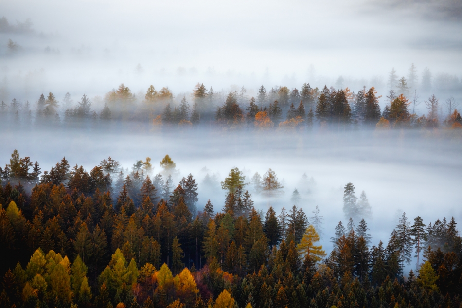 Autumn Deluxe.... . Zdjęcie 336267