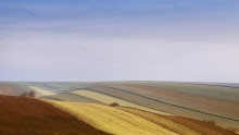 Idzie wiosna
