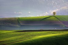 Spring field