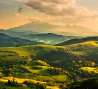 Lorem Ipsum