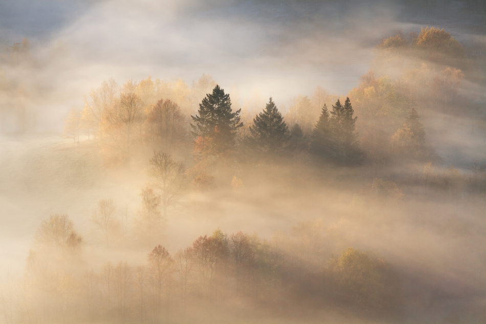 bonnieandclyde - The Poetry of Light .... . Zdjęcie 324835