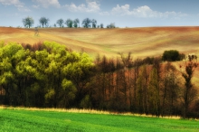 Przekładaniec wielkanocny