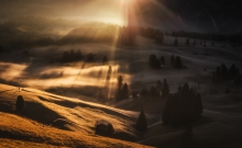 Beyond the light and sh...