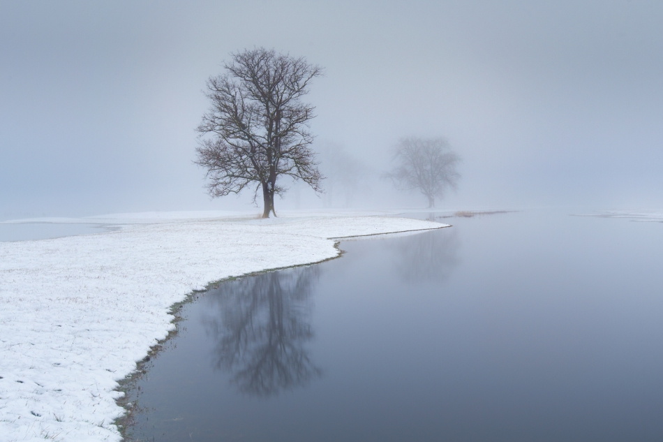 exo_82 - . . Zdjęcie 310533