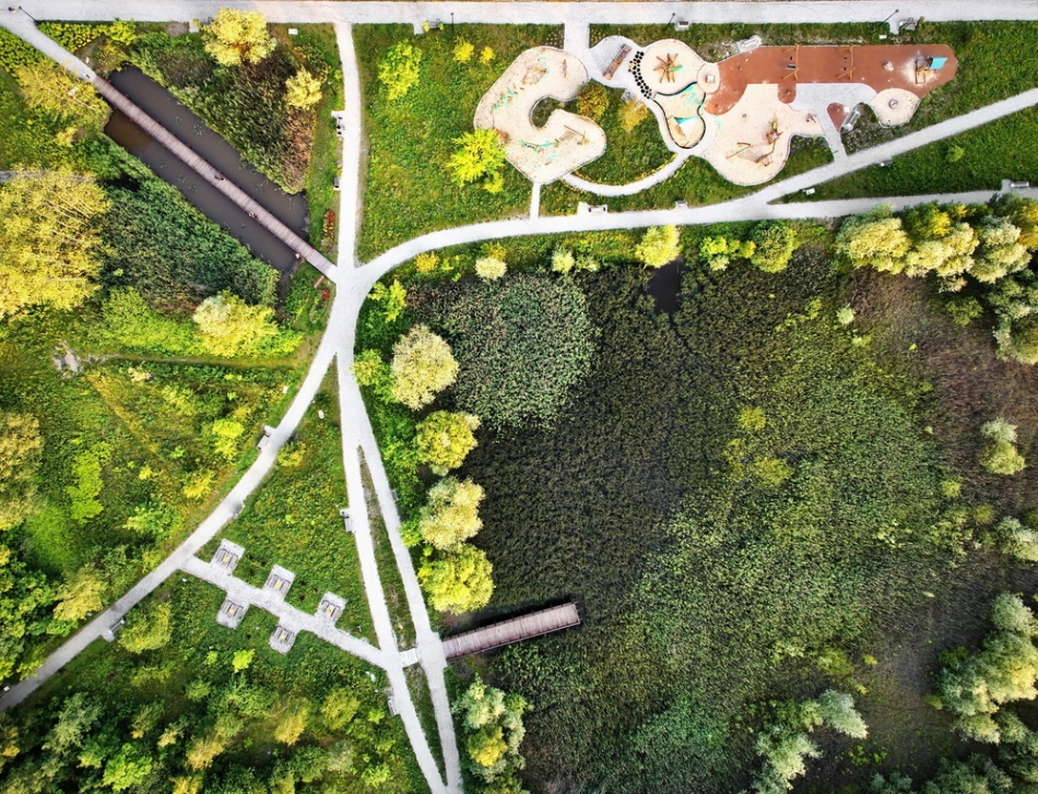 Katowice Dąbrówka Mała park. . Zdjęcie 333550