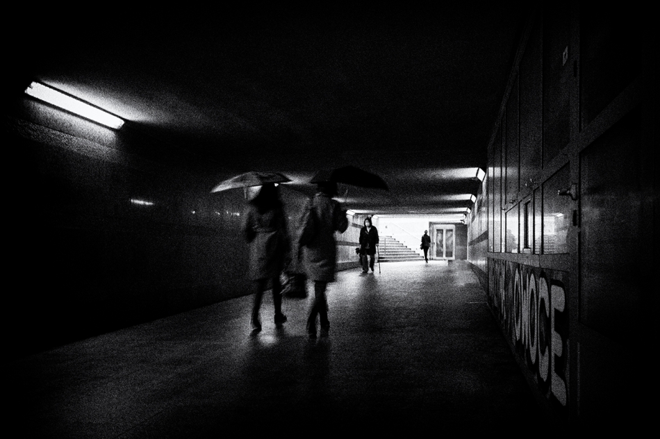 akrims - . . Zdjęcie 281021