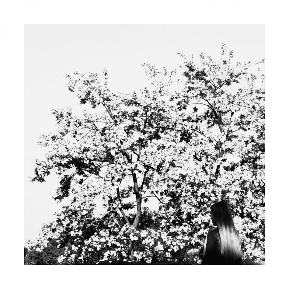 keytoo_ - . . Zdjęcie 330264
